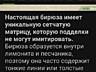 Информация о продаже. Настоящая бирюза высшего качества из 19 века. 