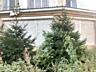 Продам помещение под любой вид деятельности/ Таирова