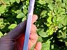 Samsung A35 8/256, цвет лаванда, идеальный