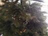 Очень красивая пышная елка как натуральная 2.30 см