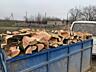 Продам дрова + есть доставка  