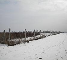 1га 15 сот. Гидигич, трасса. Озеро, сот. 700 ев. Ограждён. Торг умест.
