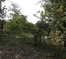Продаю участок 6 соток, пригород Кишинева.