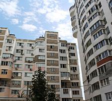Чеканы, новострой, сдан, 2-комн., 76 м2, ремонт, мебель, техника!