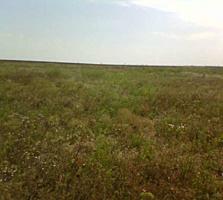 Продам участок! Первая линия моря! СРОЧНО!