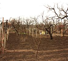 Терновка ДОМ с участком 21 сотка и вторым жилым домом