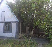 Продам дом в пгт Александровка. Дом старой постройки из ракушняка с ..