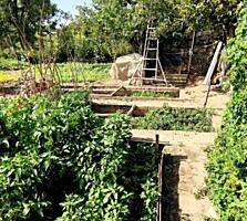 Терновка Дом с участком 14 соток и теплицами