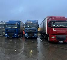 Daf Xf 105