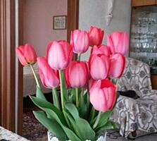 Продам трехкомнатную квартиру на балке