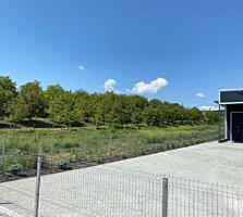 Straisteni (Bacioi), casa, depozite, livada cu nuci, teren 67ari