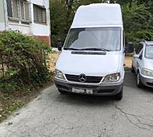 Спринтер 313