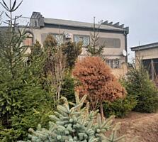 Дом - усадьба в пос. Нати на 50 сотках земли