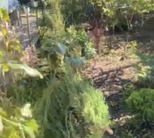 Уютный дом в с. Нерубайском вблизи лимана