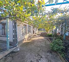 Отличный домик-дача в центре Паркан!