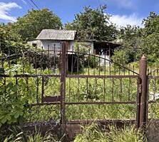 Ботаника, пер. Валентин Зарзэр.