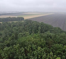 Продам квартиру 40 кв. м., 14/16, новый дом, жк Реал Парк.