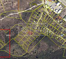 Se oferă spre vânzare teren pomicol, Întovărășirea Pomicolă ...