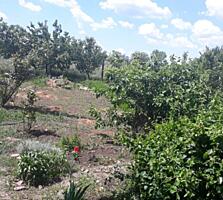 Продам земельный участок, 25 соток. В Большом Дальнике