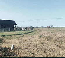 Продам участок в Великом Дальнике. Участок 15 соток , угловой, ...