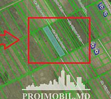 Spre vînzare se oferă teren pentruconstrucție, situat în or. ...