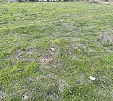 Предлагается к продаже участок 12 соток правильной формы в с. Дачное. 