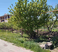 Продам участок в селе Фонтанка