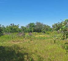 Продается участок правильной формы общей площадью 7,2 сотки. Целевое .