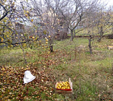 Продаётся в с. Нерубайское р-н Нати участок 8 соток с коробкой ...