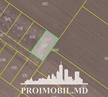 Spre vânzare se oferă teren agricol, situat în Sângera. ...