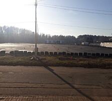 Сдаётся участок. Киевская область, Бориспольский район , Чубинское, ..