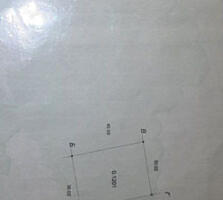 Совиньон Зеленый гай участок 12 соток