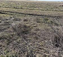 Продается участок с выгодным расположением в пгт Усатово, прямо возле 