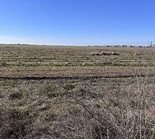 Продается земельный участок, фасадом и длинной стороной расположен ...