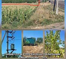 Продам плодоносящий сад 4 Га