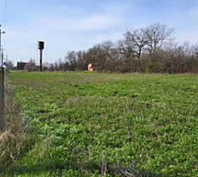 В продаже земельный участок 13 соток в с. Дальникпод жилую ...