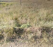 Продажа участка в с. Холодная Балка