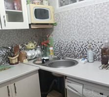 3-х комнатная квартира 5/5. Бородинка, «Хомяк», «Ассоль»