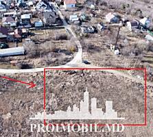 S pre vânzare se oferă teren cu destinație agricolă, situat la prima .