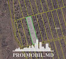 Spre vânzare se oferă teren pentru construcții, situat în ...