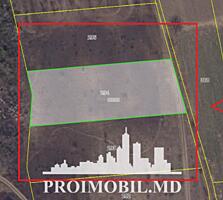 Spre vânzare se oferă teren agricol, situat în or. Ialoveni, s. ...