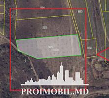 Spre vânzare se oferă teren agricol, situat în or. Ialoveni, s. ...