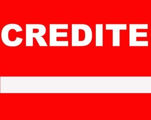 Credite / Кредиты 1,5 % S. R. L. "CreditExpert"