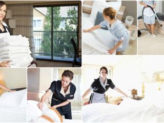 Informatii privind lucru si deplasari in Germania