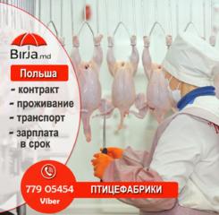 Работа на переработке мяса птицы. Работа в Польше.