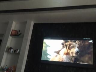 Автономка. 1-комнатная. Новострой..