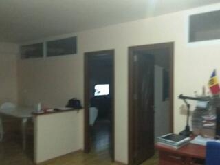 Chirie. Аренда