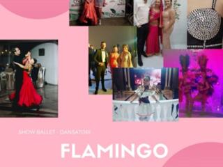 Шоу балет Flamingo. Dansatori. Танцоры на мероприятия