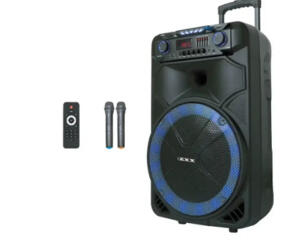 Акустическая переносная колонка ZXX-1011 800Вт