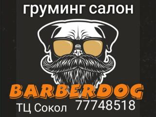 ГРУМИНГ САЛОН BARBERDOG